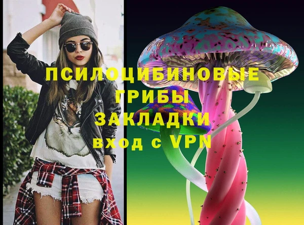 шишки Армянск