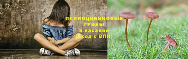 шишки Армянск