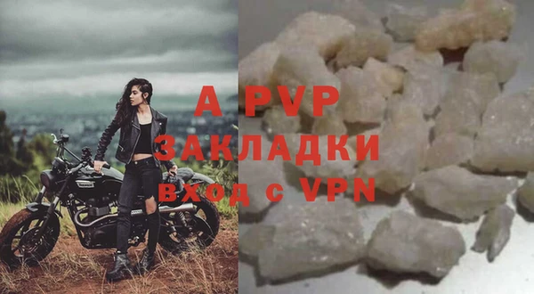 шишки Армянск